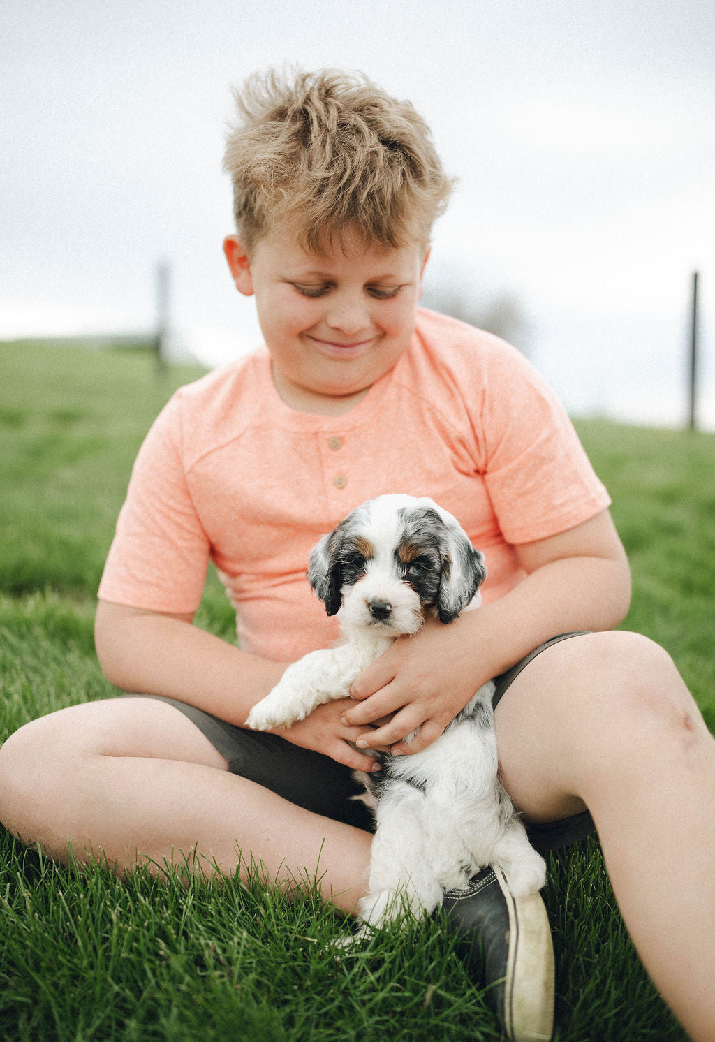 Thumper - Male Cockapoo Puppy