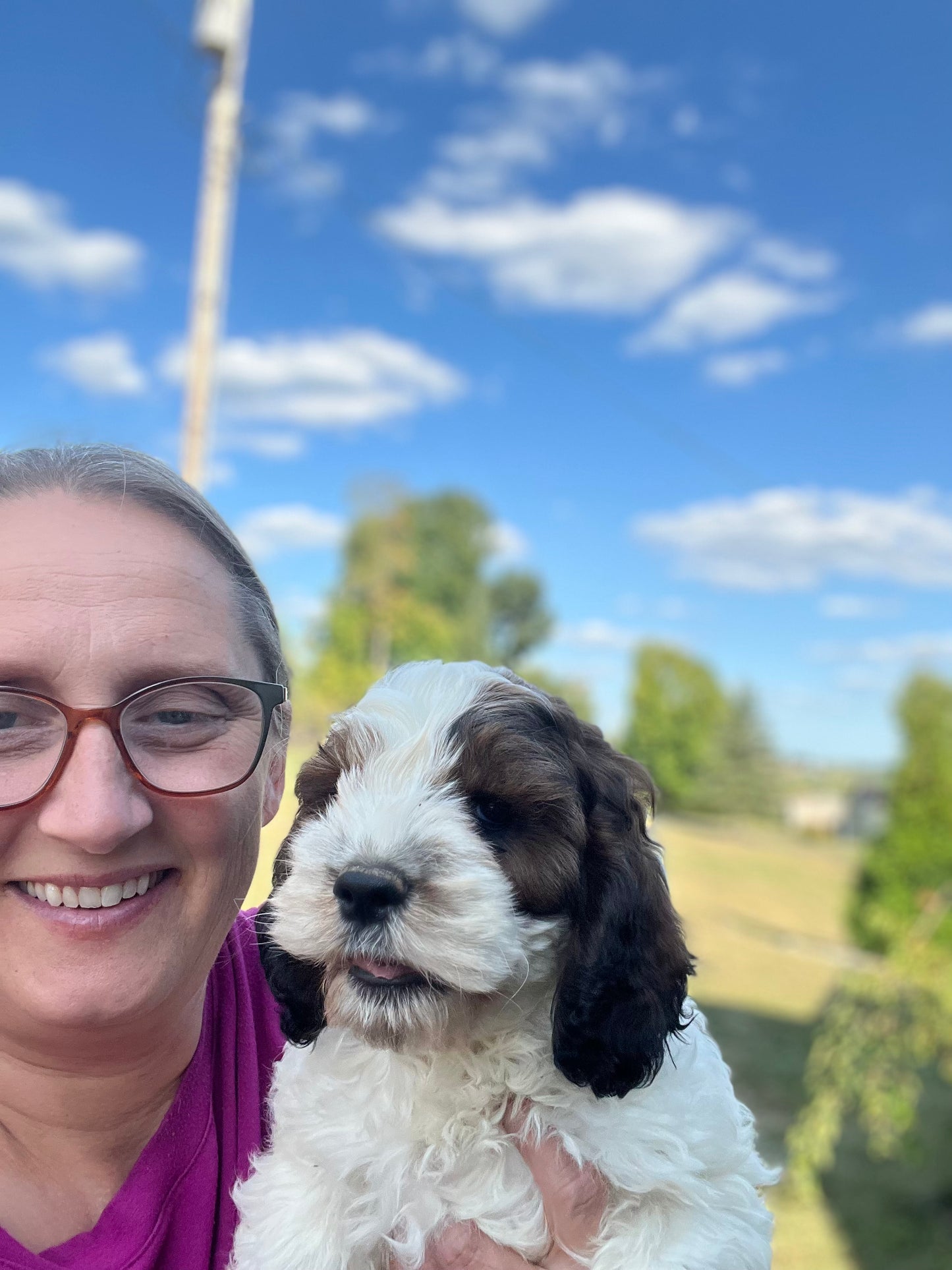Jethro - Male Cockapoo Puppy - $1,000